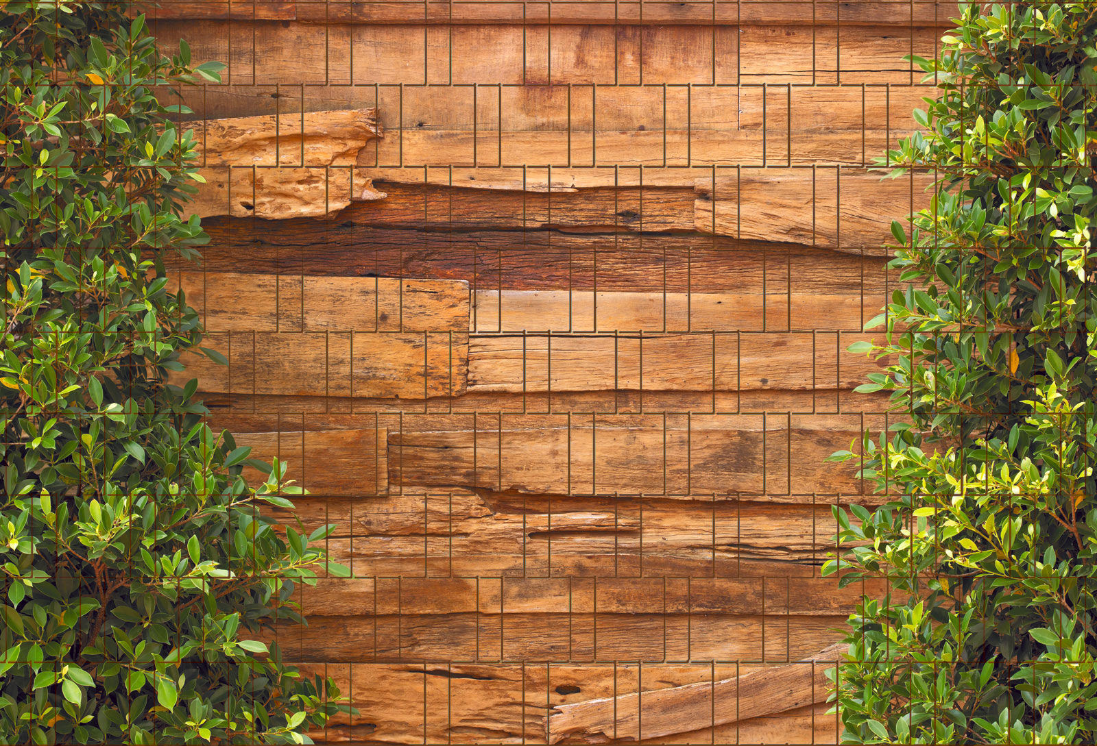 Holz & Lorbeer - Bedruckter Zaun Sichtschutz