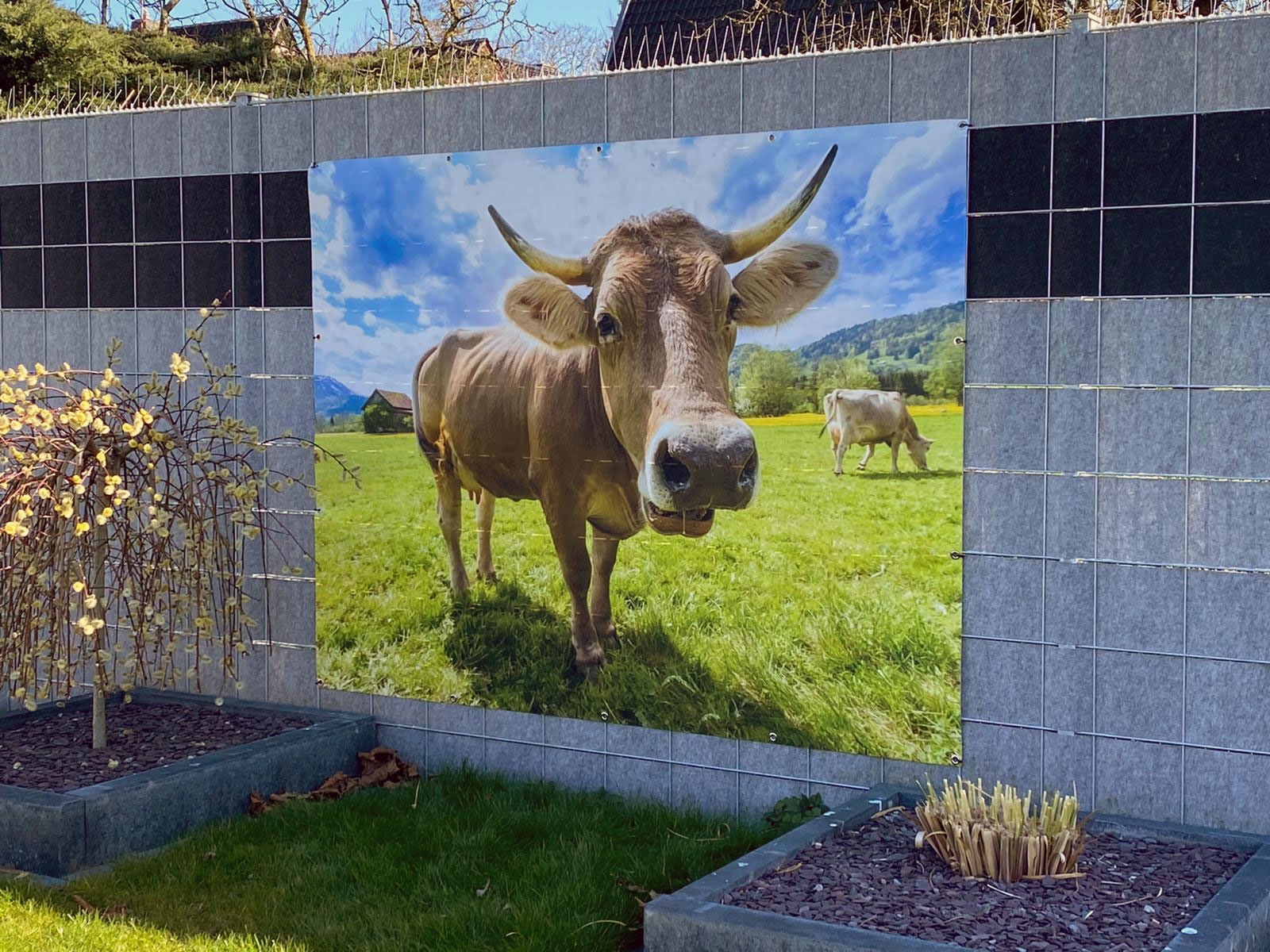 Zaunposter Garten Banner Outdoor Motiv Kuh Größe 200 x 155 cm